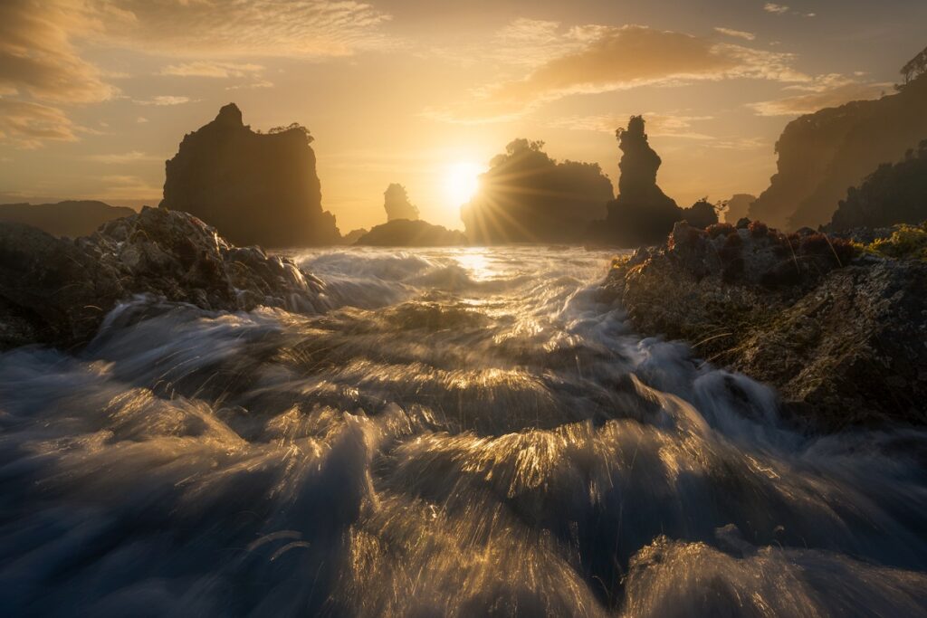 Fiordland Coastal Wilderness by William Patino World Photography Day