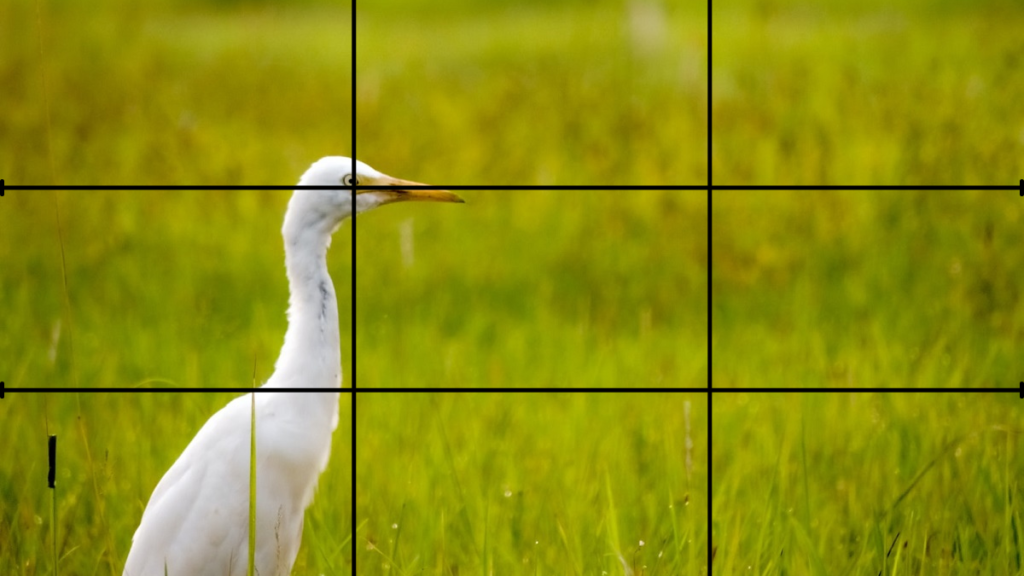 Travel photography tips - rule of thirds