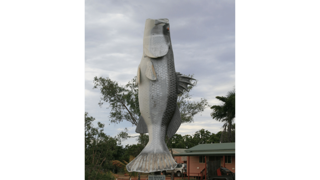 Big Barramundi - what to do in queensland