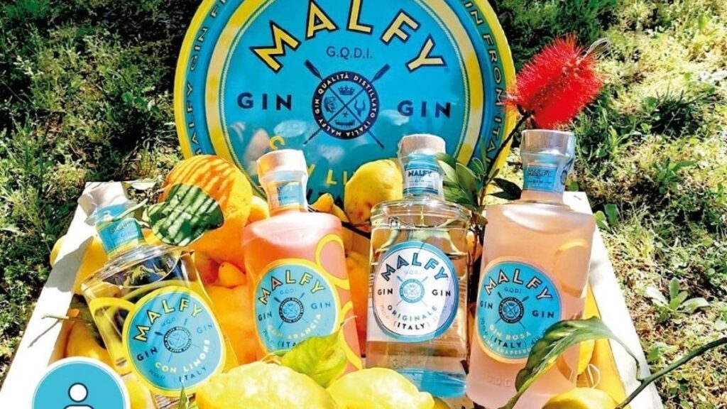 The malfy gin selection