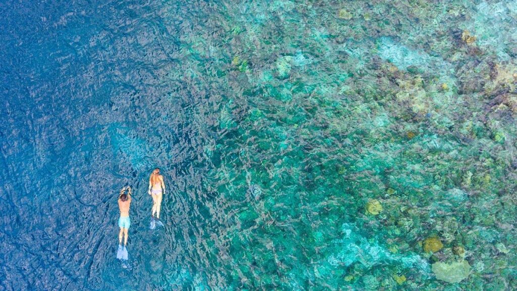 Baros island snorkelling, Maldives beach