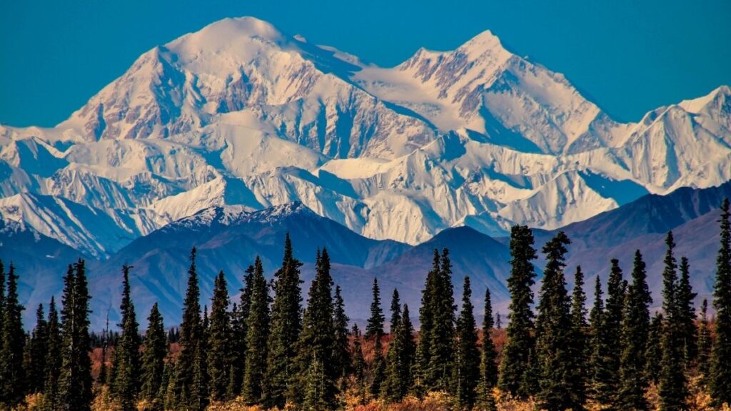 Denali International Mountain Day