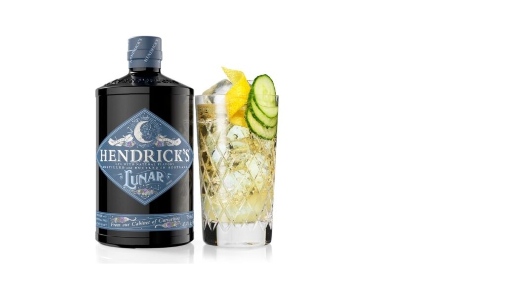Hendrick's lunar gin review - cocktail 1