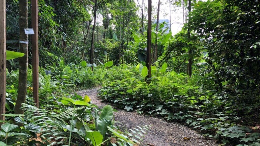 Taman Tugu, free things to do in Kuala Lumpur