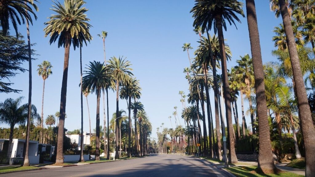 5 things to do in LA - Beverly Hills