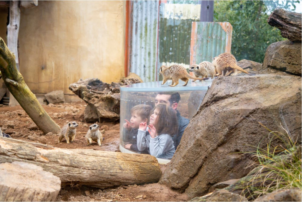 must visit zoos in the world
