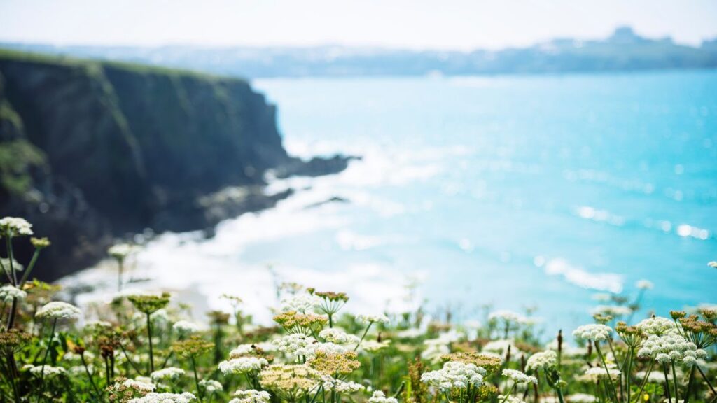 5 best places to visit in the south of England - Newquay