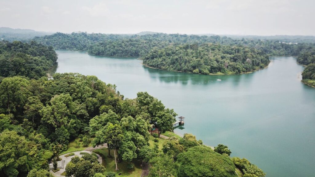 Hiking in Singapore - MacRitchie reservoir