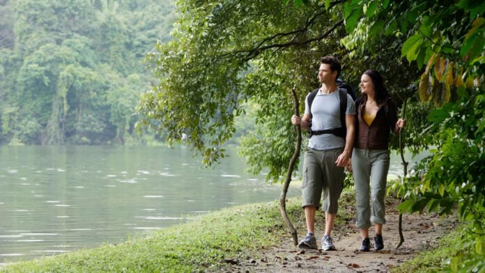 Hiking trails in Singapore