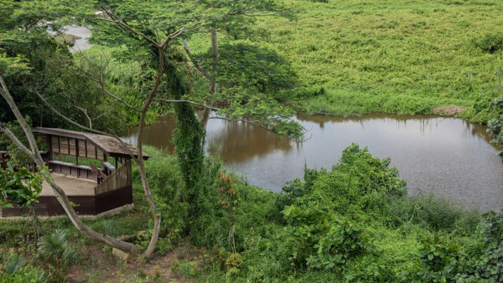 Singapore Hiking trails - Kranji marsh