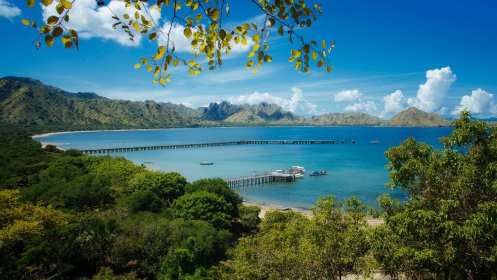 scuba diving in Indonesia - Manta Point (Karang Makassar), Komodo Island