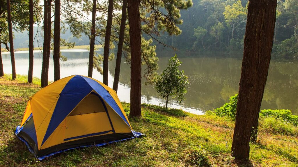A camping trip is a great way to experience nature 
