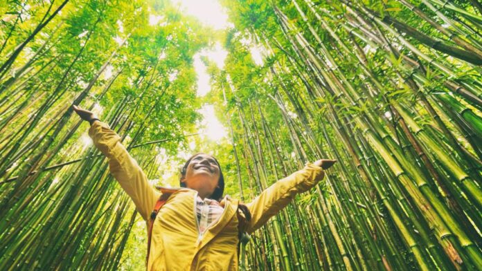 The future of sustainable travel in Southeast Asia is now according to Trip.com