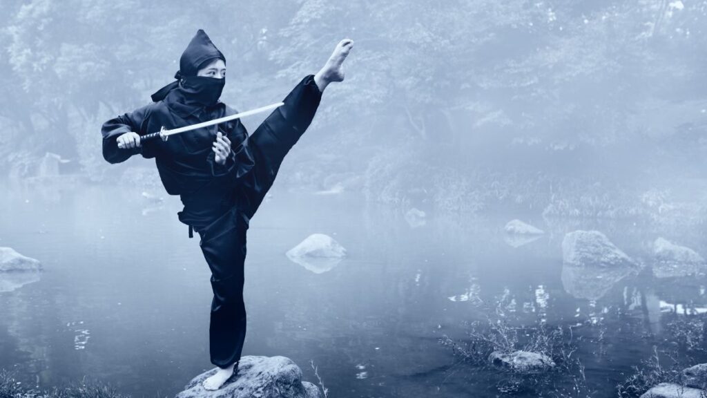 Become a ninja and experience some of the training while you are there