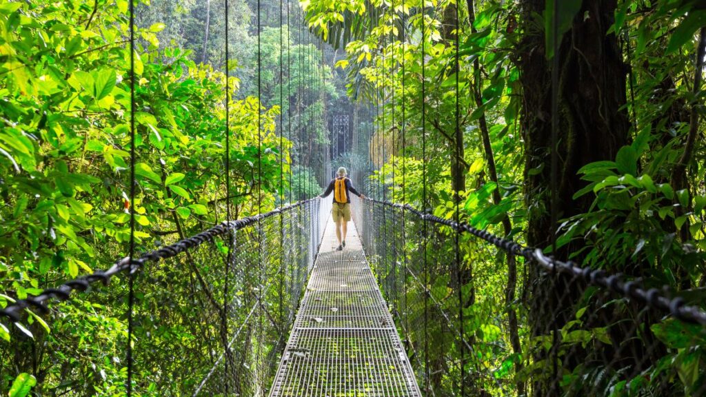Go hiking in the Costa Rican forests