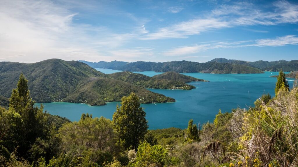 Queen Charlotte track offers some of the best mountain biking in New Zealand