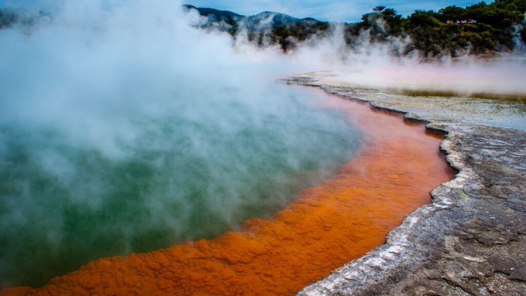 Rotorua offers a unique landscape with some of the best mountain biking in New Zealand