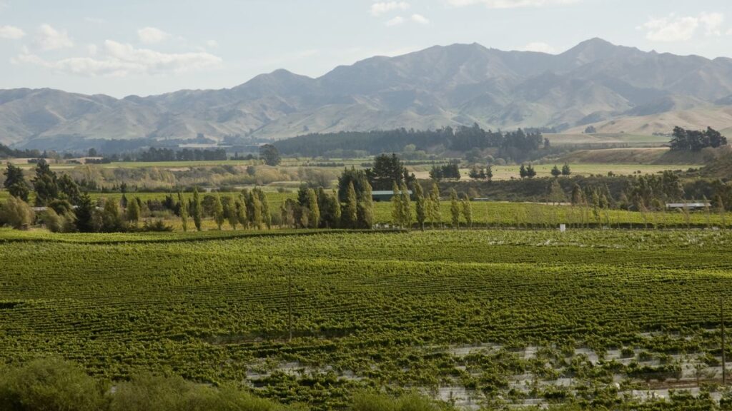 Why not explore Malborough to find the best cycling in New Zealand