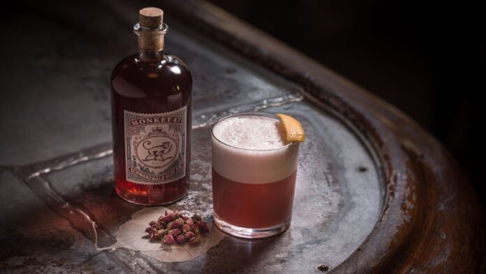 Monkey 47 sloe gin review - Travel Wanderlust