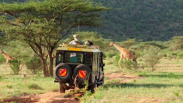 Planning a road trip in South Africa tips for the ultimate adventure