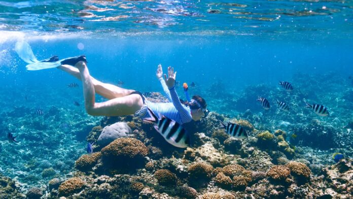 Must-pack items for an unforgettable marine travel adventure