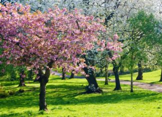 Spring getaway ideas: 10 destinations for your January escape Spring getaway ideas 10 destinations for your January escape