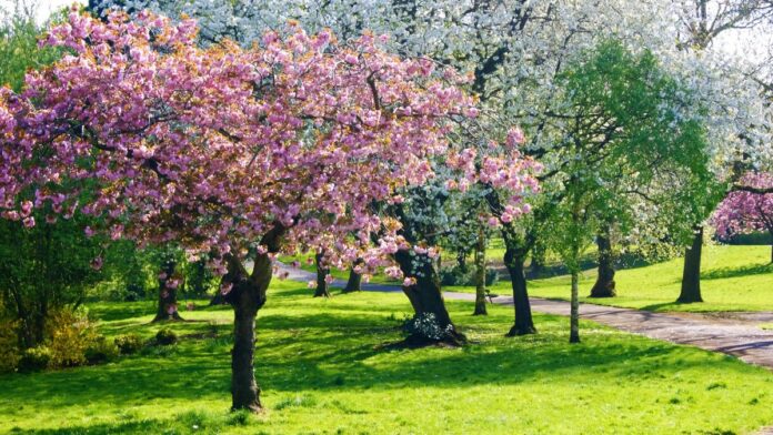 Spring getaway ideas 10 destinations for your January escape