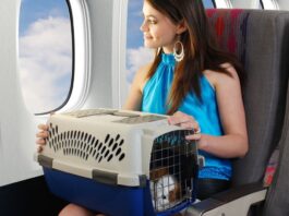 How to prepare for a flight with pets